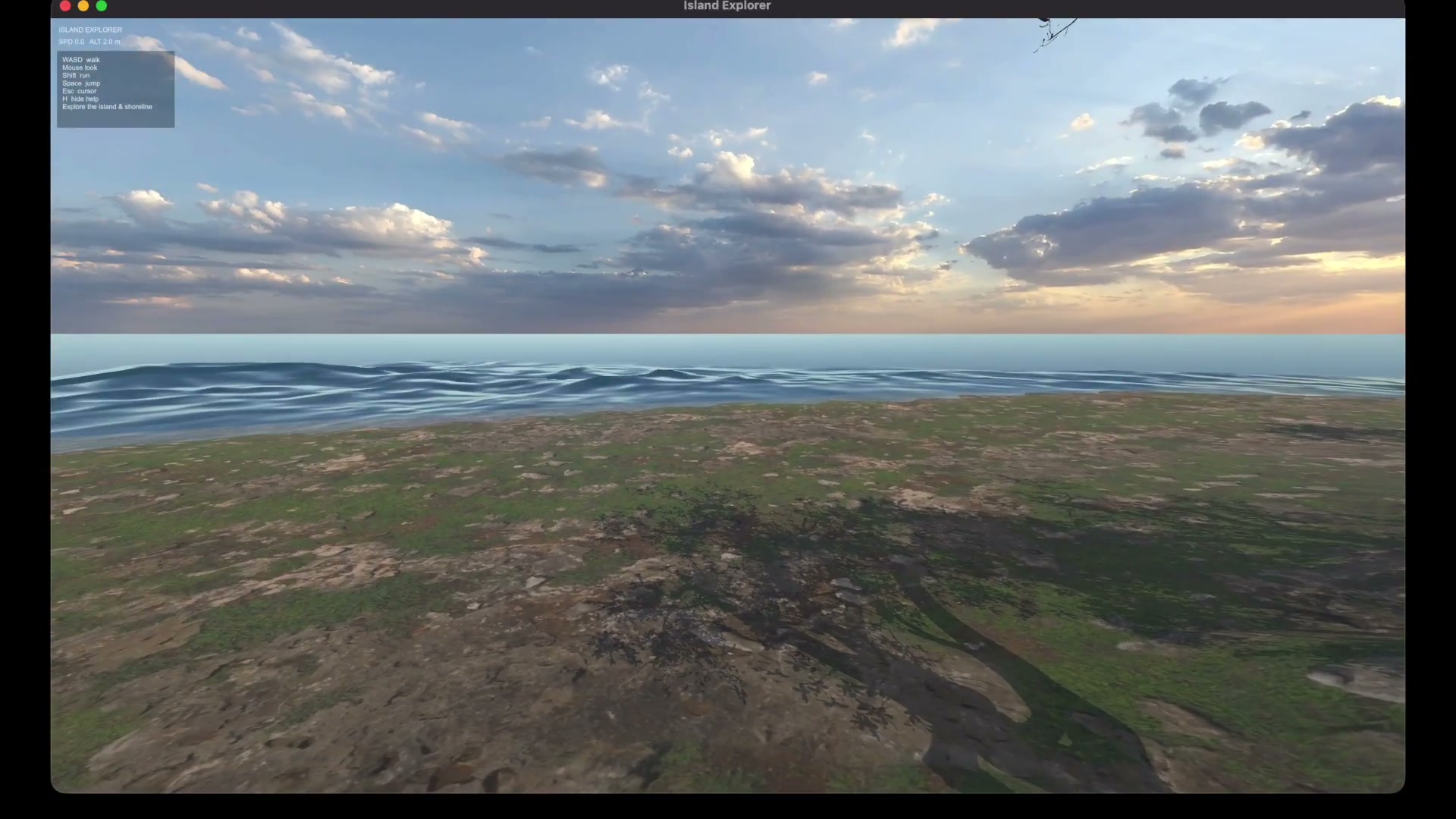 Generated grassy shoreline landscape